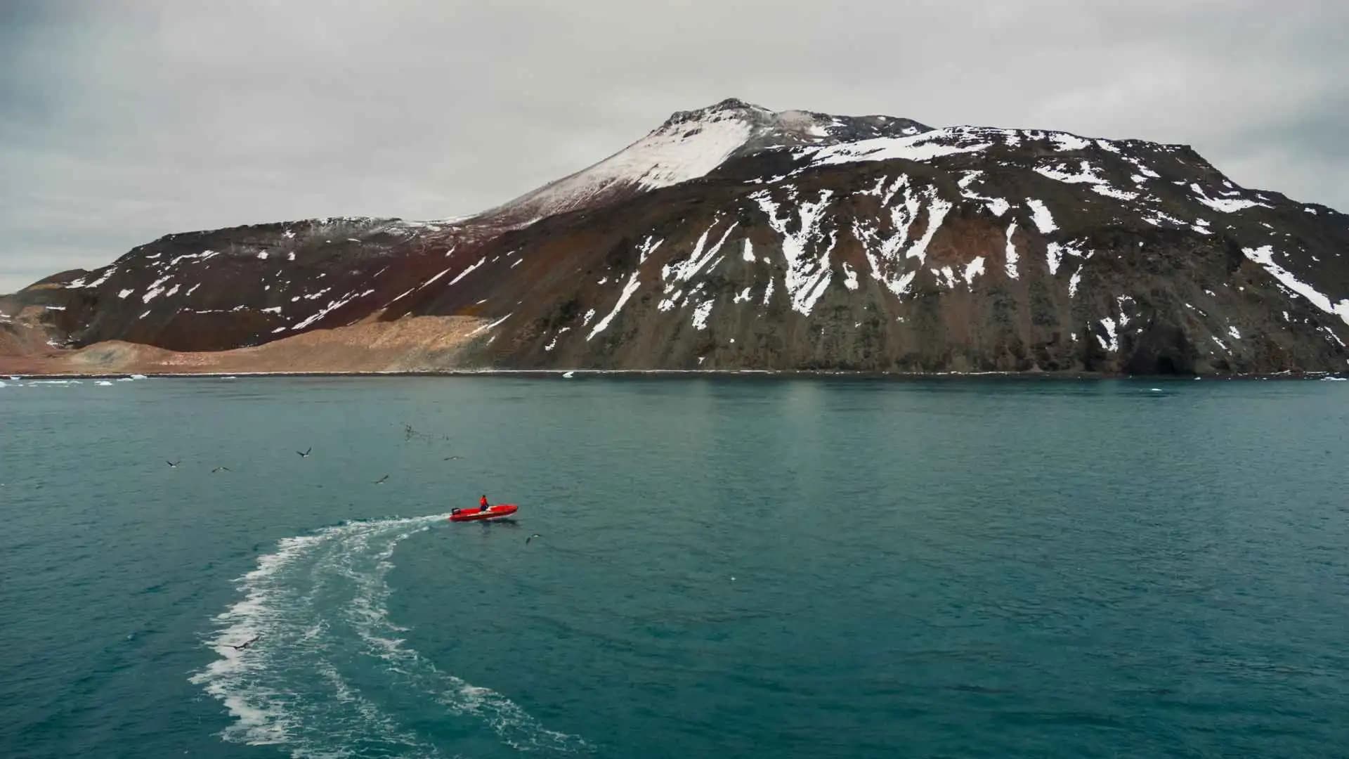 Paulet Island