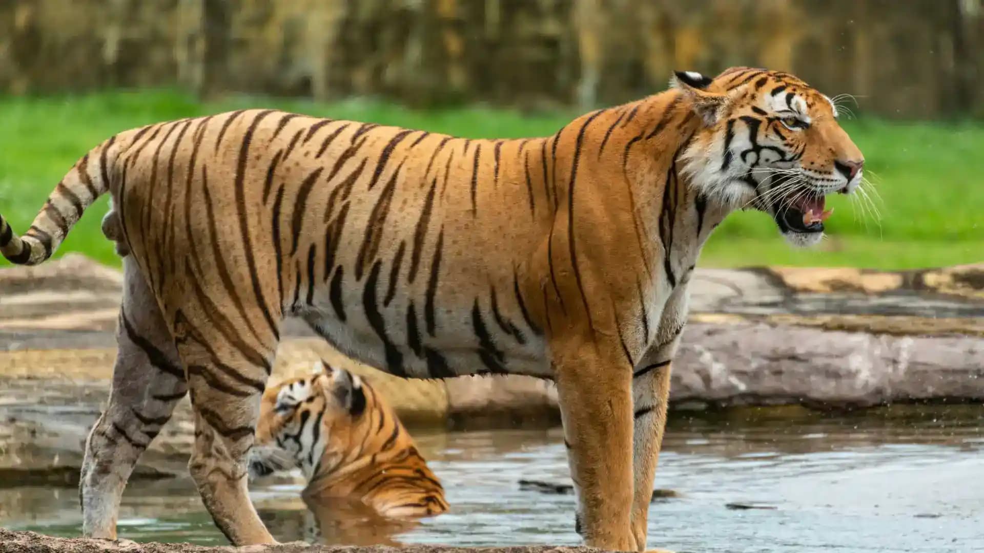 Periyar National Park