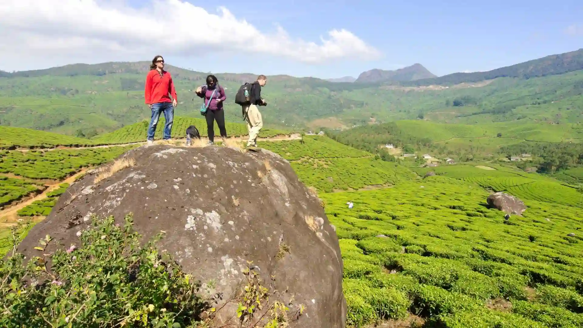 Photo Point Munnar