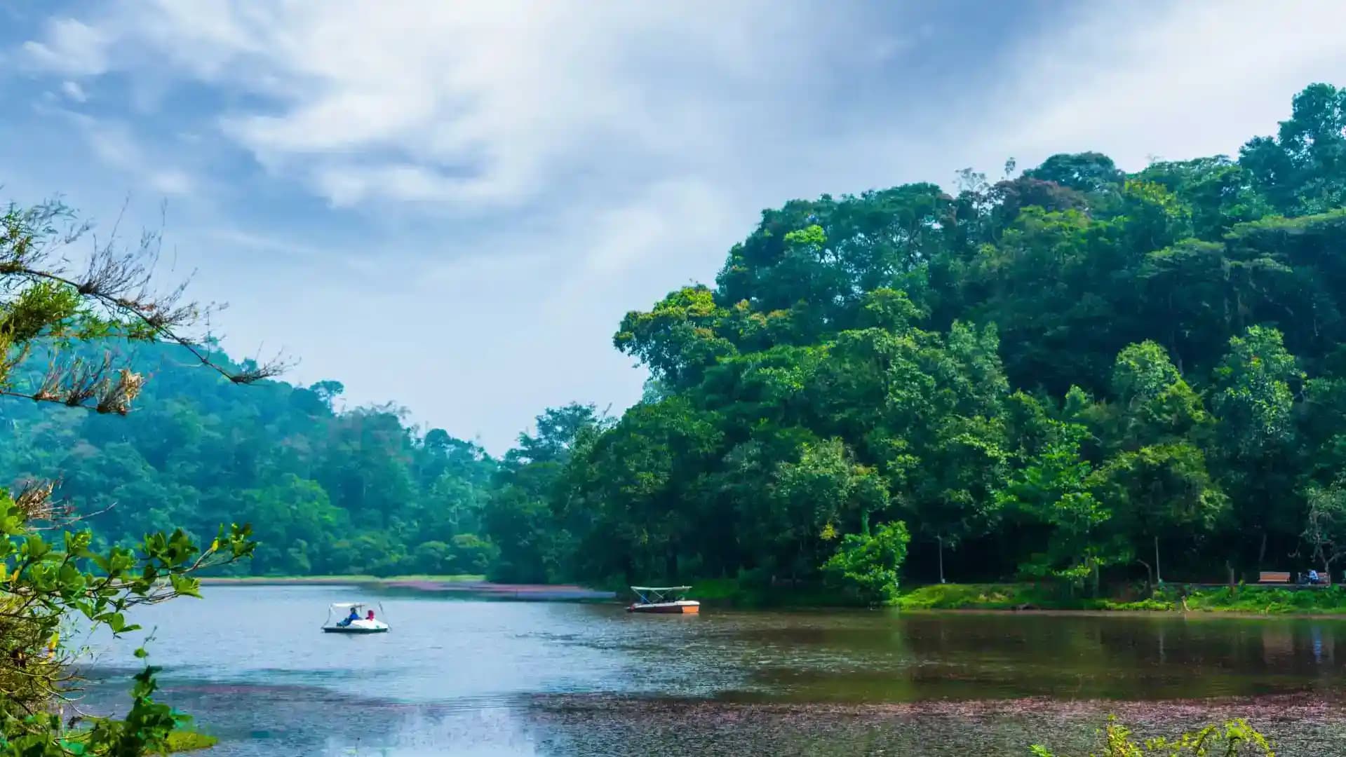 Pookode Lake