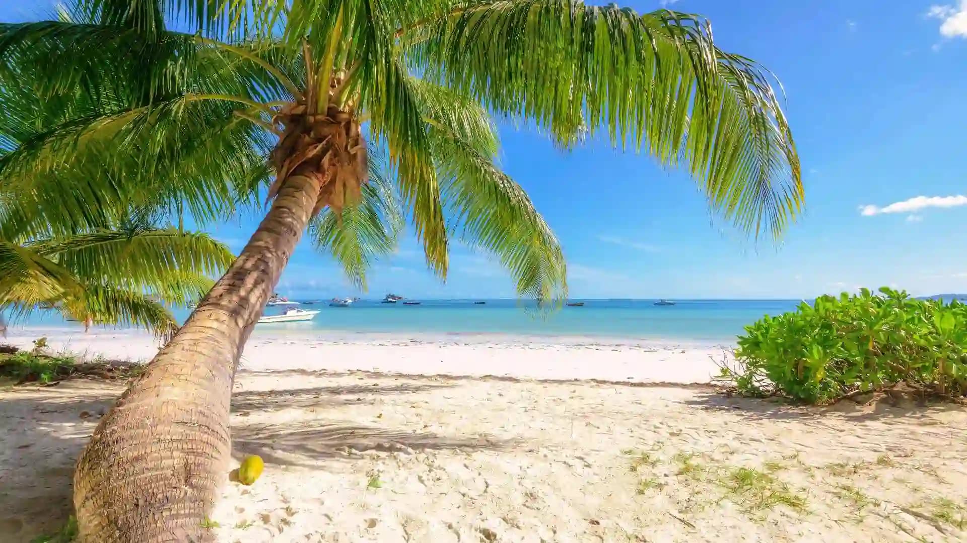 Praslin Island