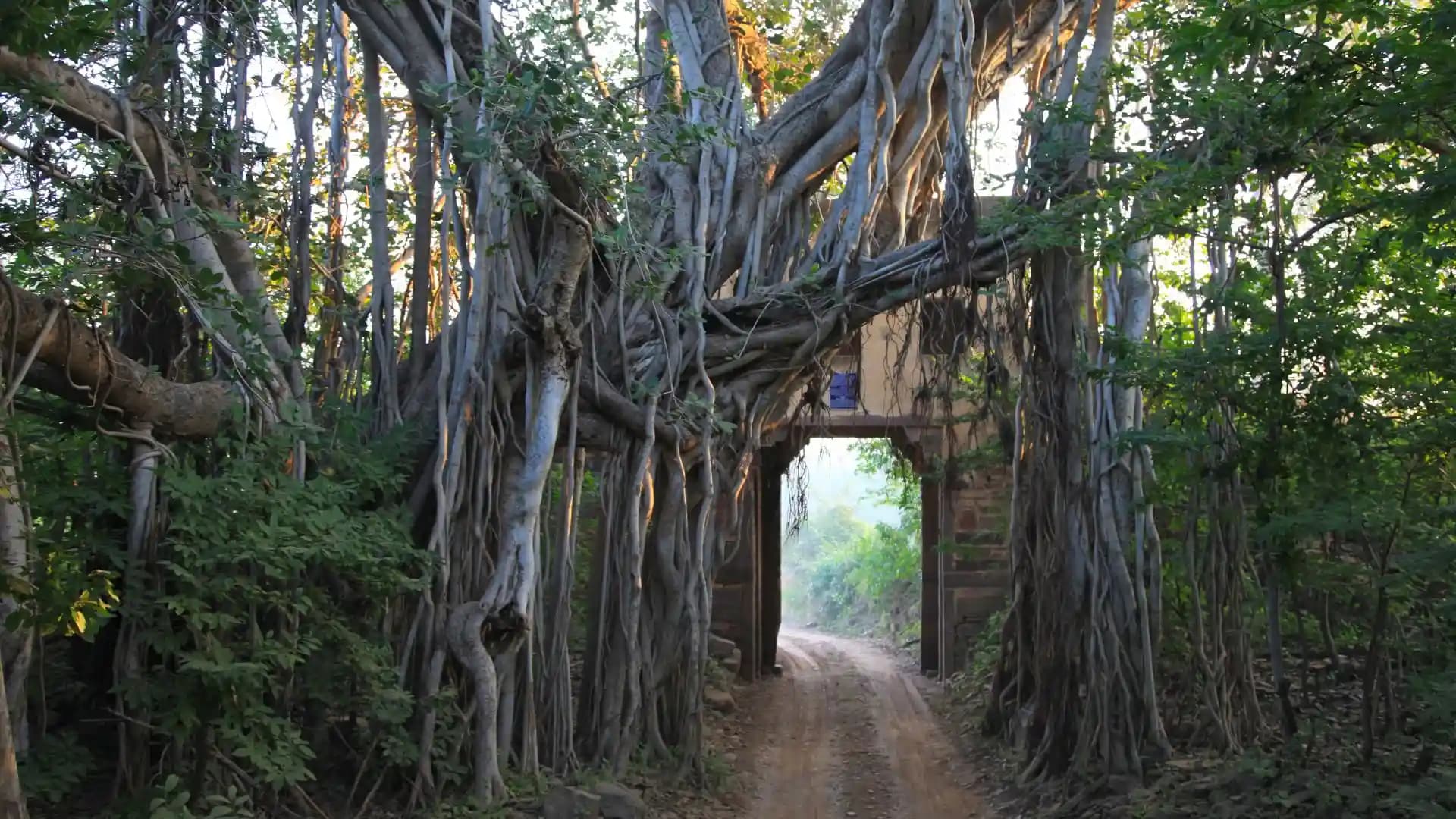 Ranthambore National Park