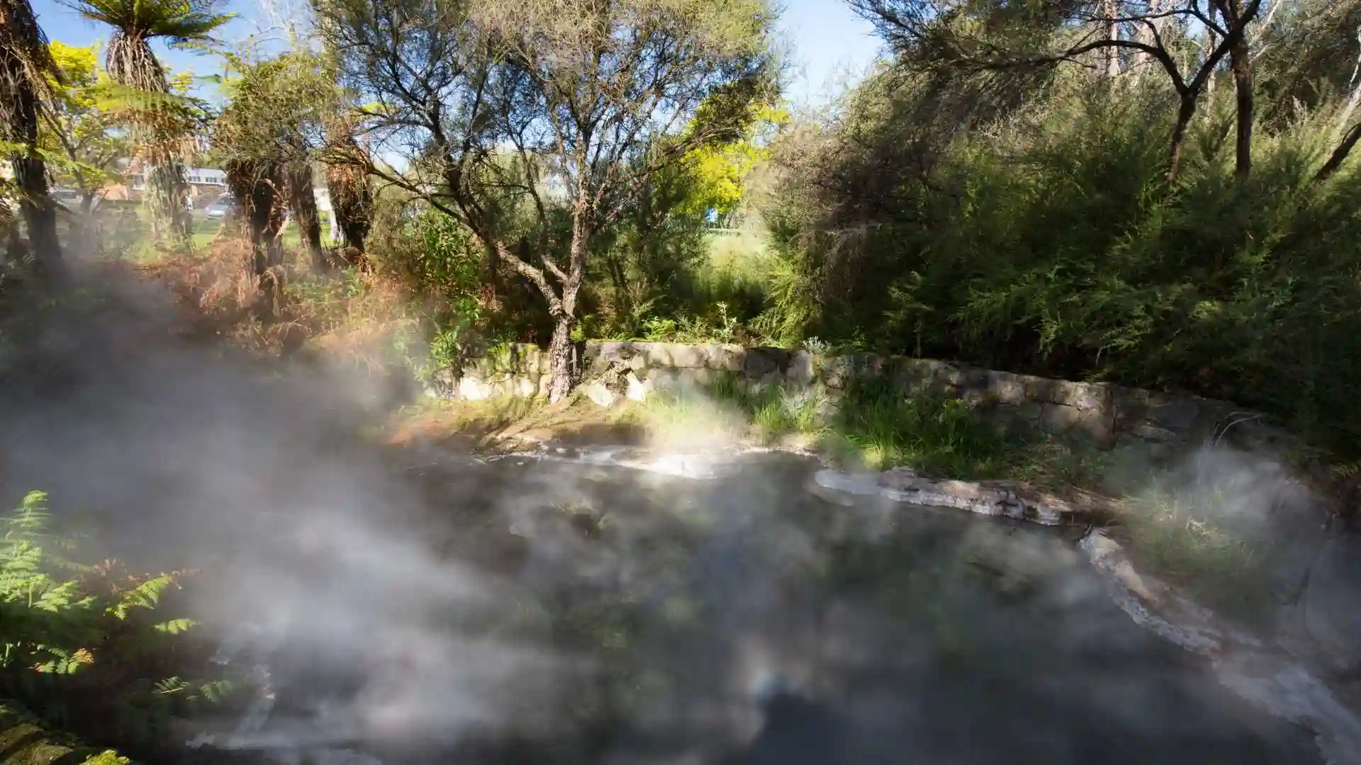 Rotorua Geothermal Park