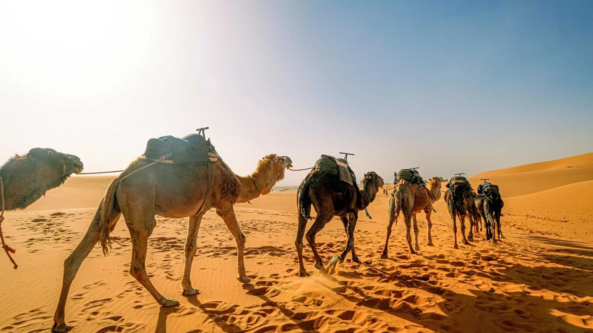 Sahara Sunrise Erg Chebbi Morocco