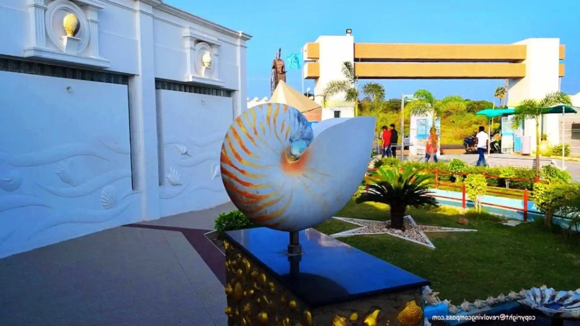 Sea Shell Museum