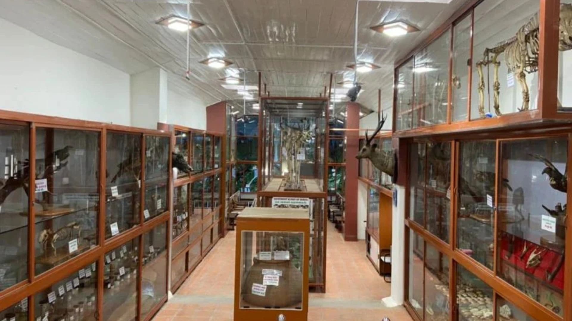 Shenbaganur Museum