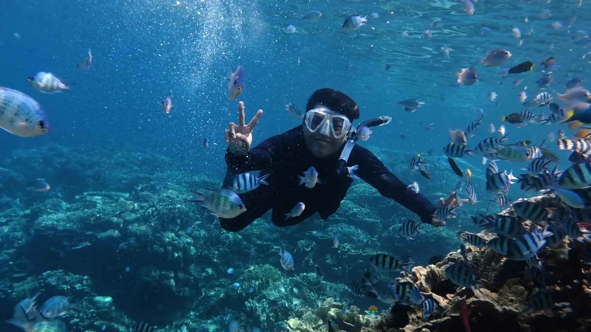 Snorkelling