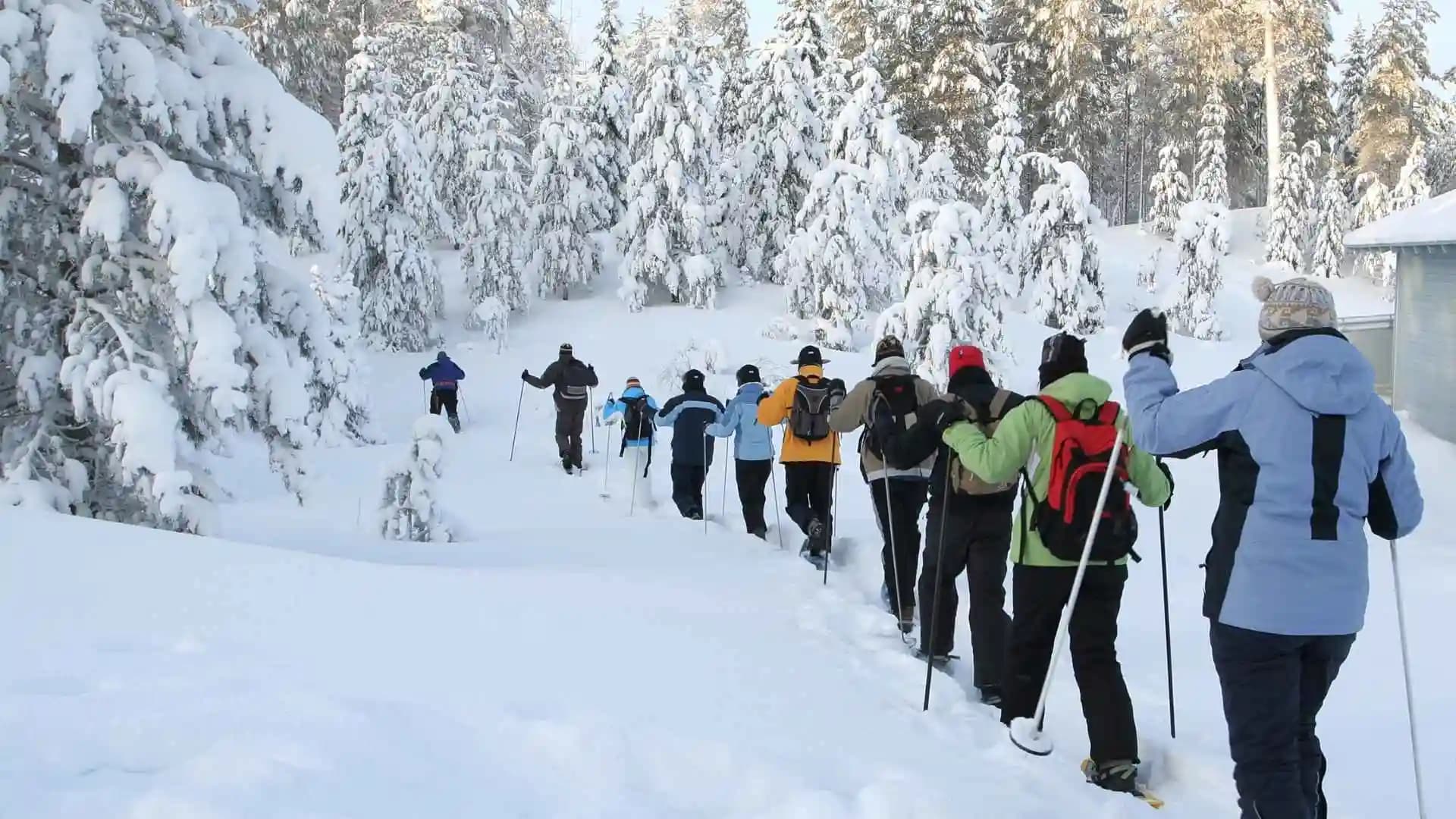 Snowshoeing Arctic Hiking