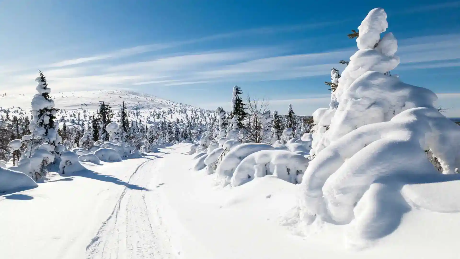 Snowy Landscape Lapland Finland