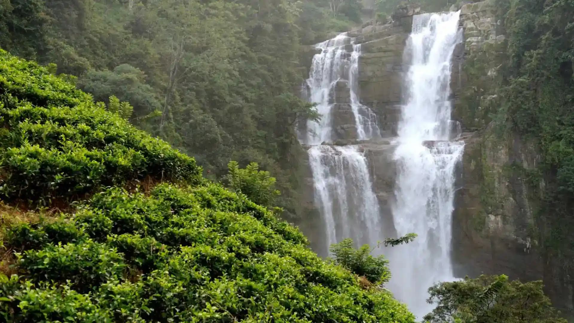 Soochipara Waterfalls