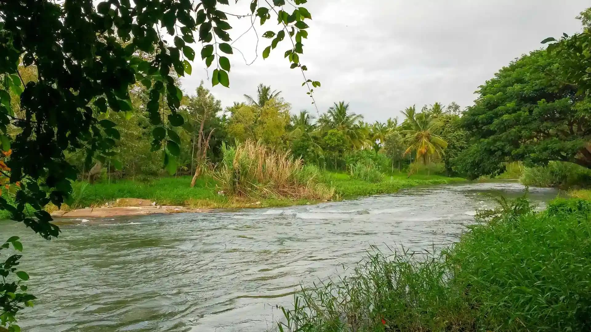The Lush Cauvery Nisargadhama Island