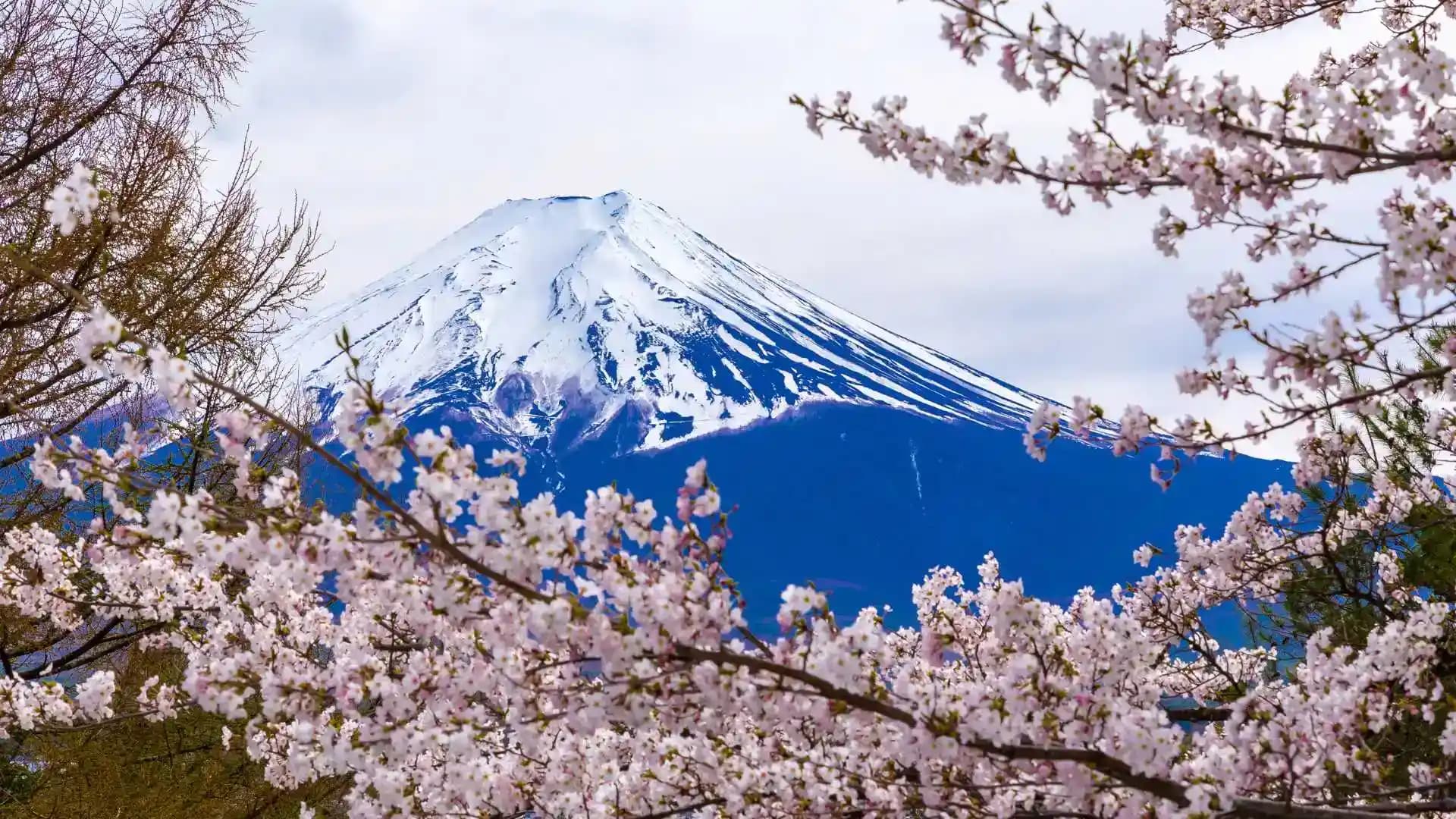 Mount Fuji