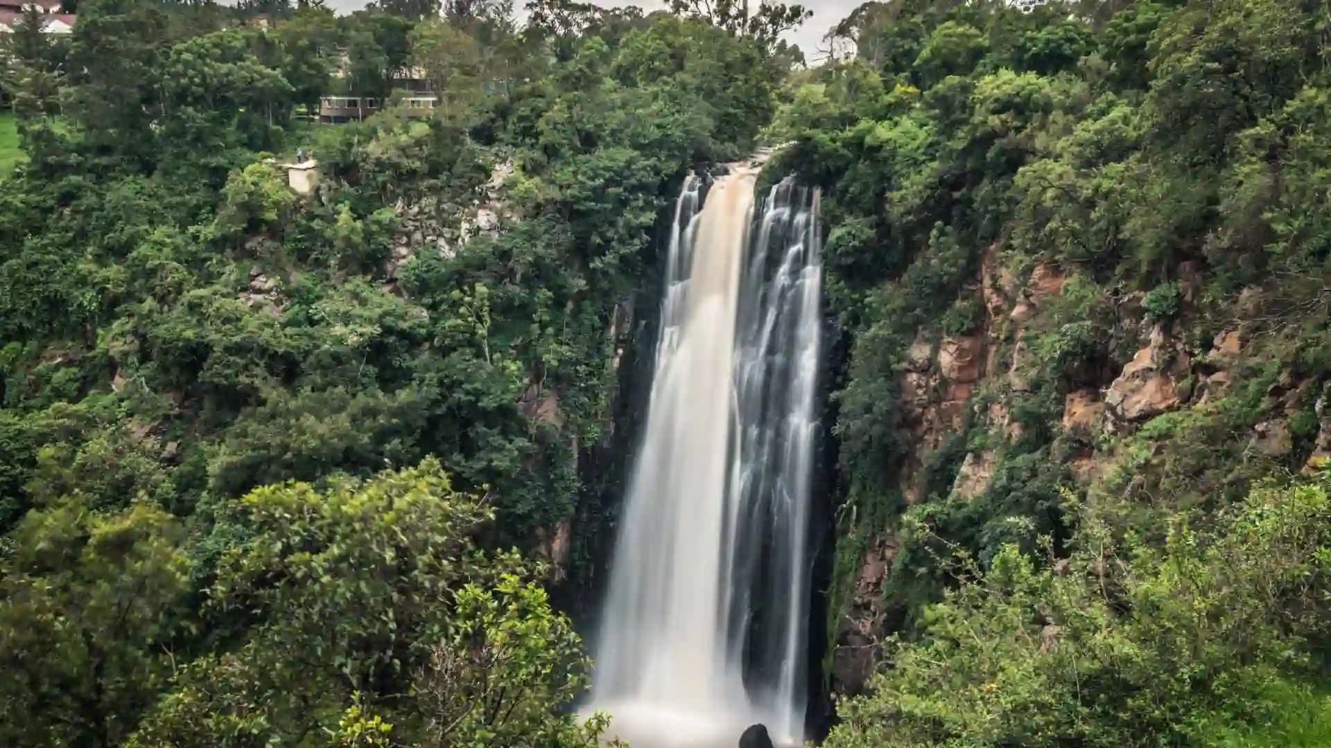 Thomson Falls