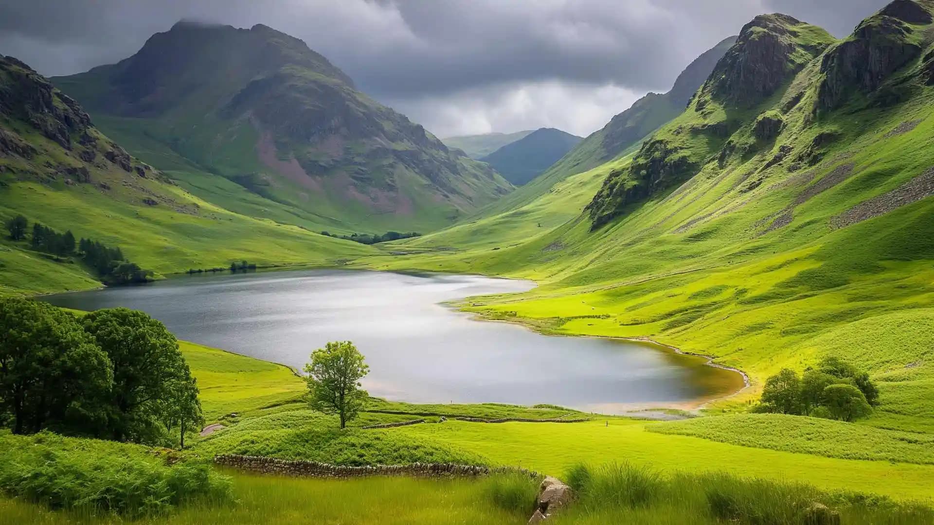 Tranquil Hill District Kerala