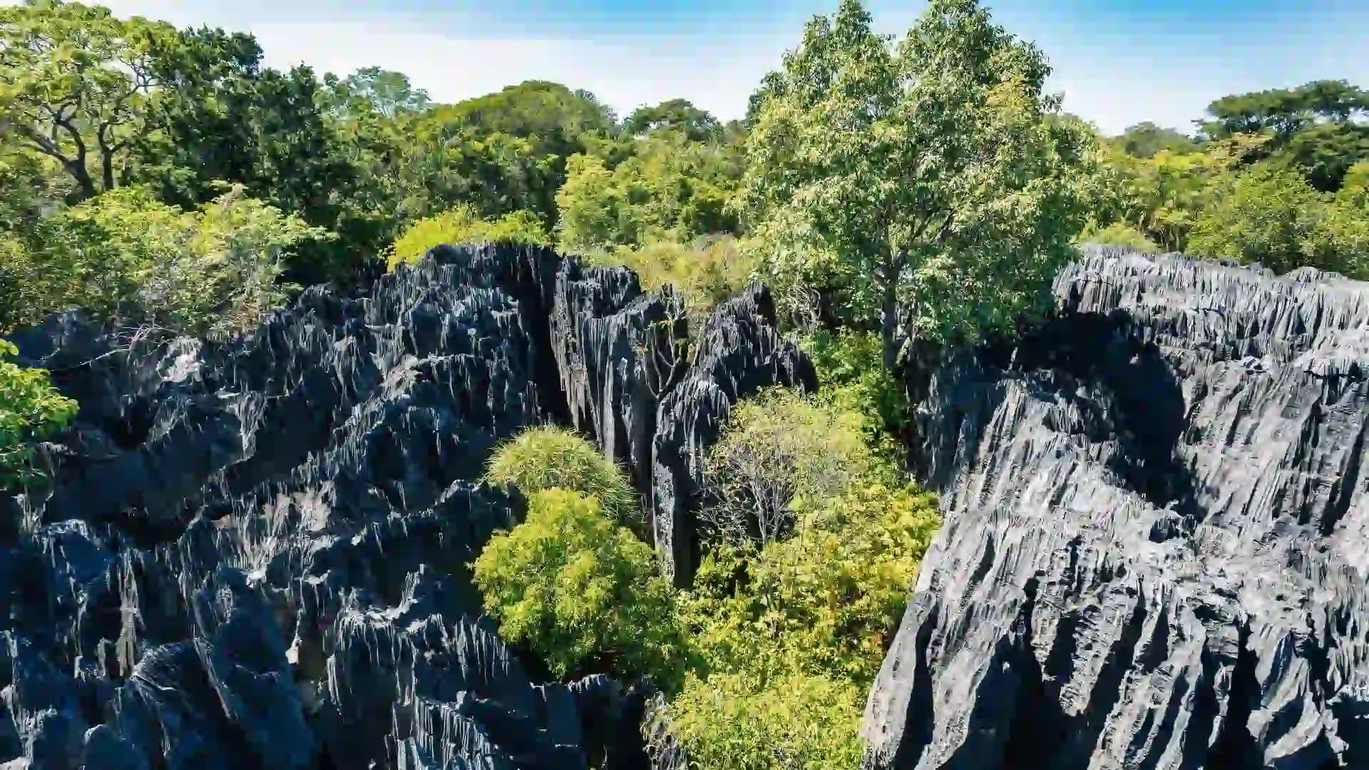 Tsingy de Bemaraha National Park