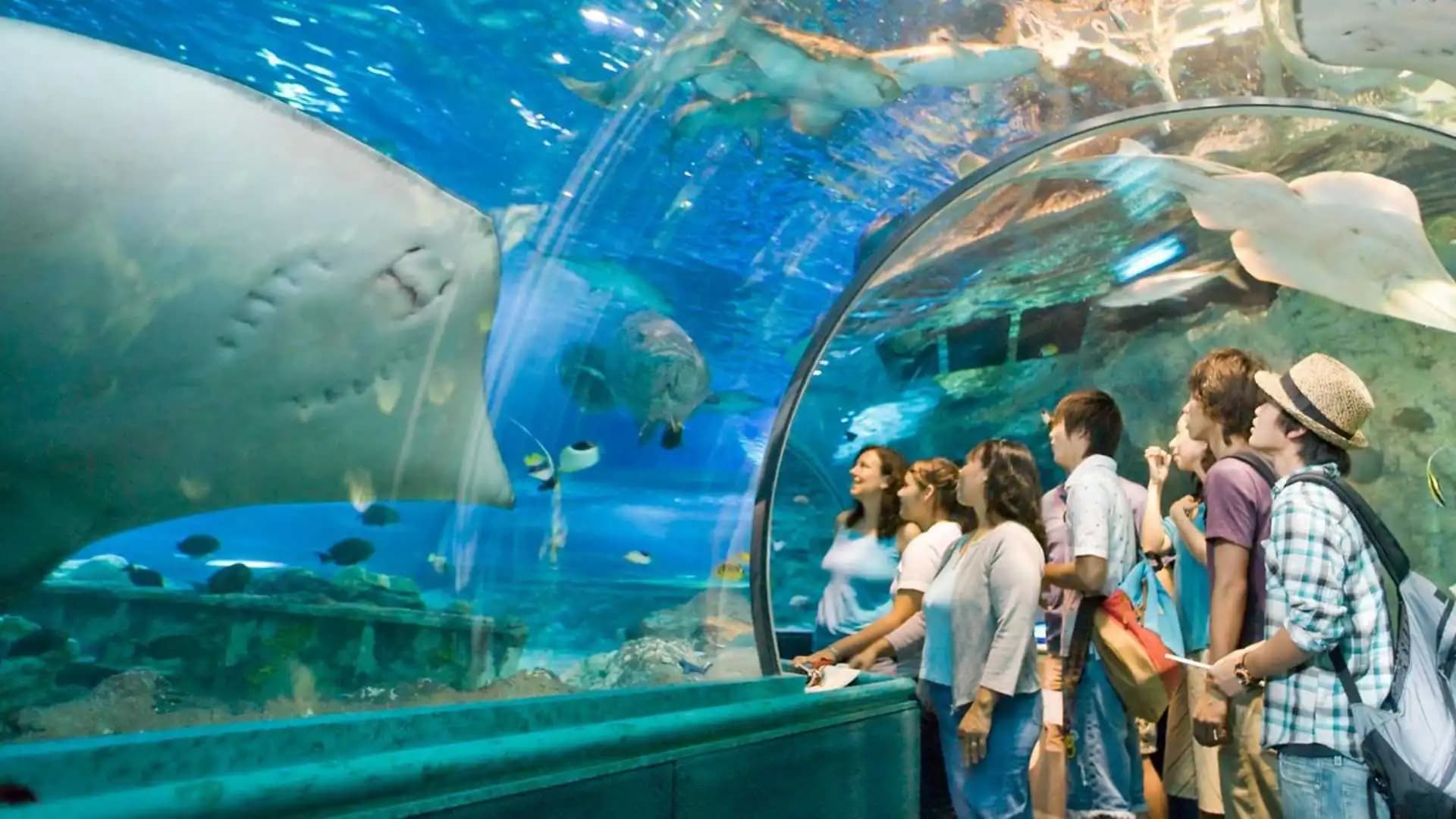 Underwater World