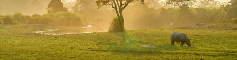 Assam
