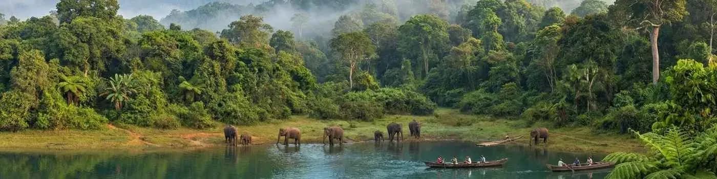 Periyar