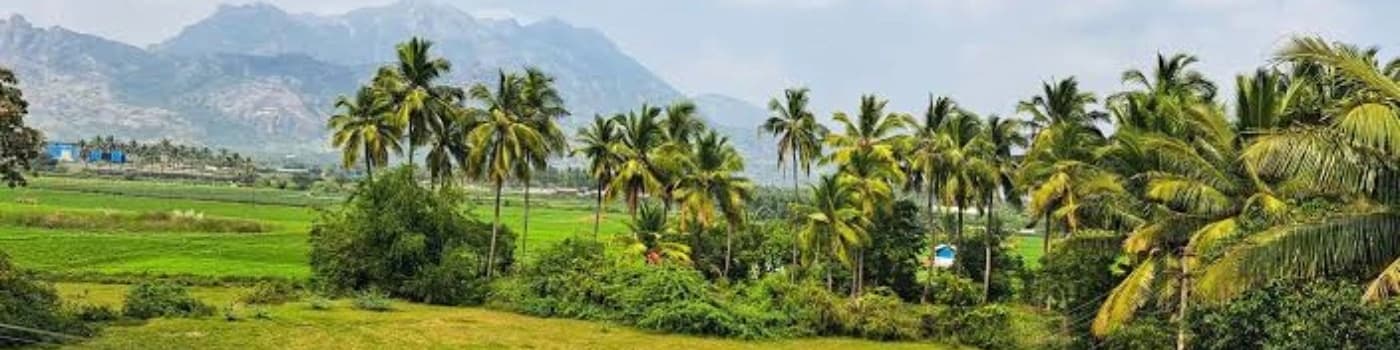 Nagercoil
