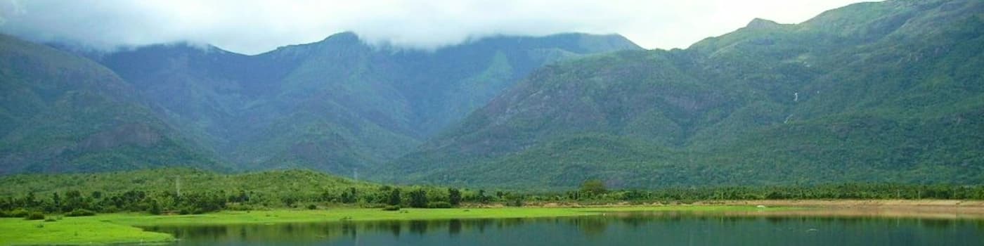 Rajapalayam