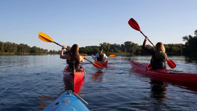 Kayaking Through Mangroves