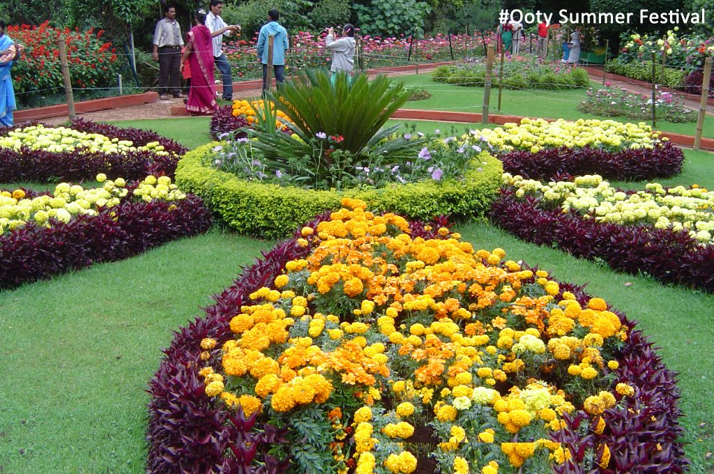 This image has an empty alt attribute; its file name is Ooty-summer-festival-2-1024x680.jpg