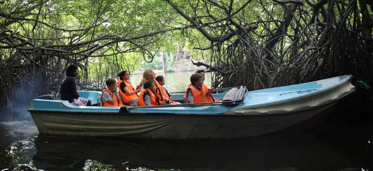 Bentota River Safari