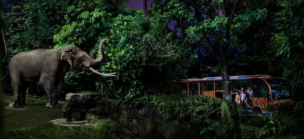 Singapore Zoo & Night Safari