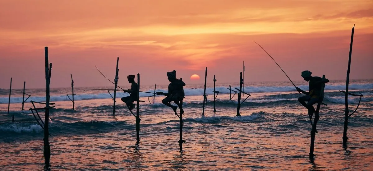 Stilt Fisherman
