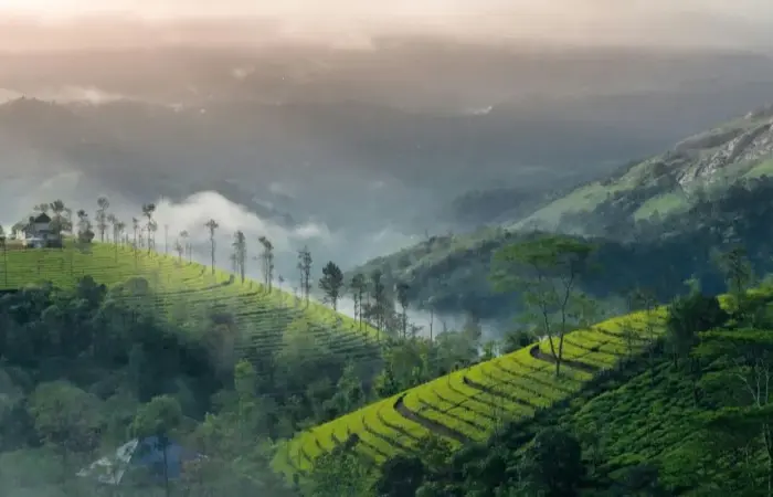 10 Best Offbeat Hill Stations in South India for this Summer