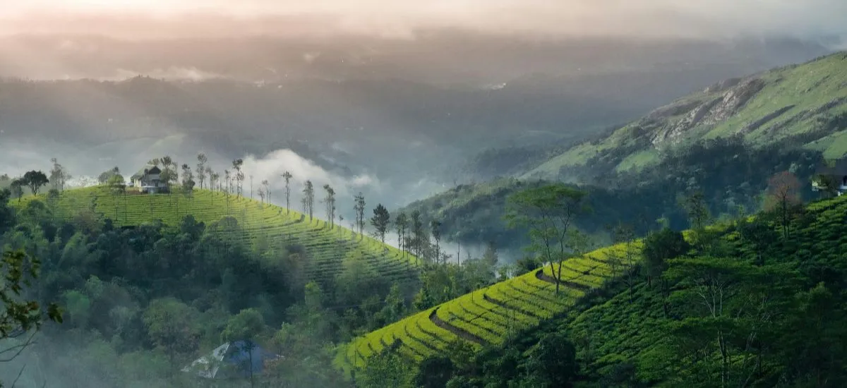 10 Best Offbeat Hill Stations in South India for this Summer