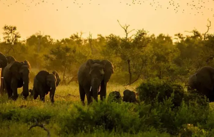 Wildlife Sanctuaries