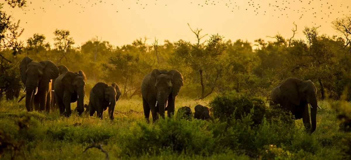 Wildlife Sanctuaries