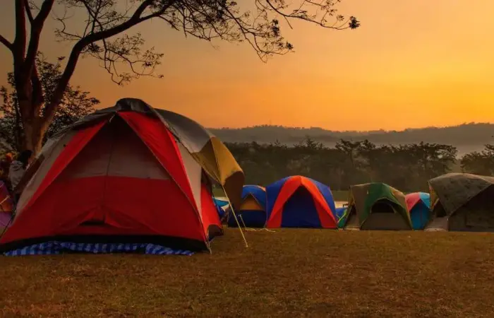 Ooty Camp Amidst