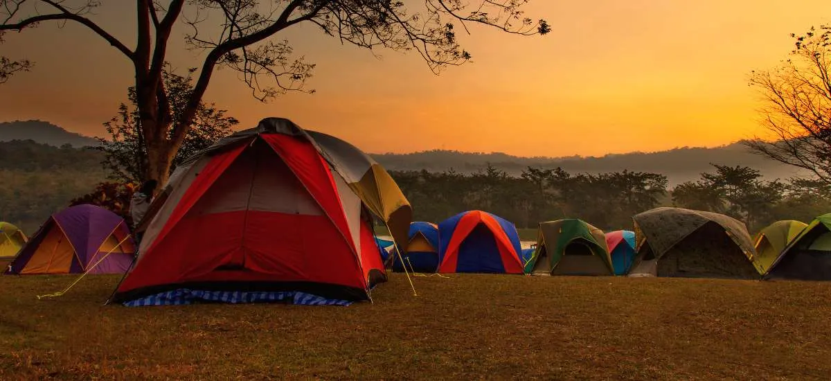 Ooty Camp Amidst