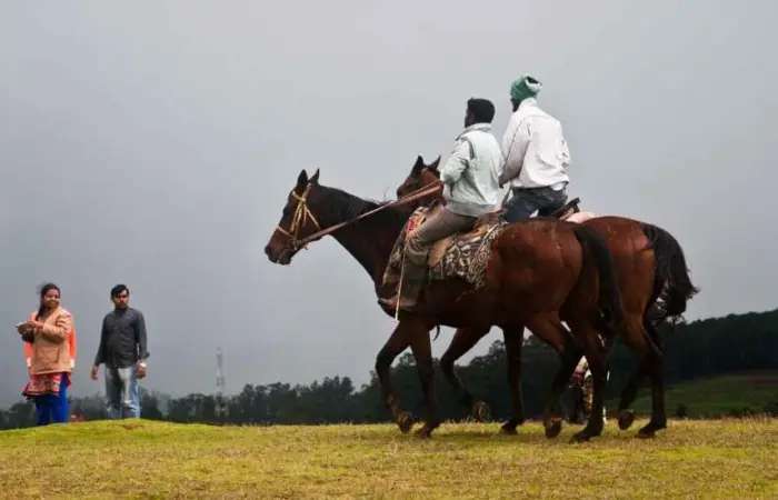 Ooty Horse Riding
