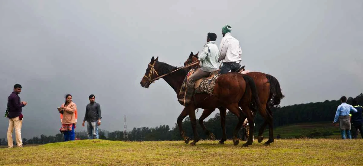 Ooty Horse Riding