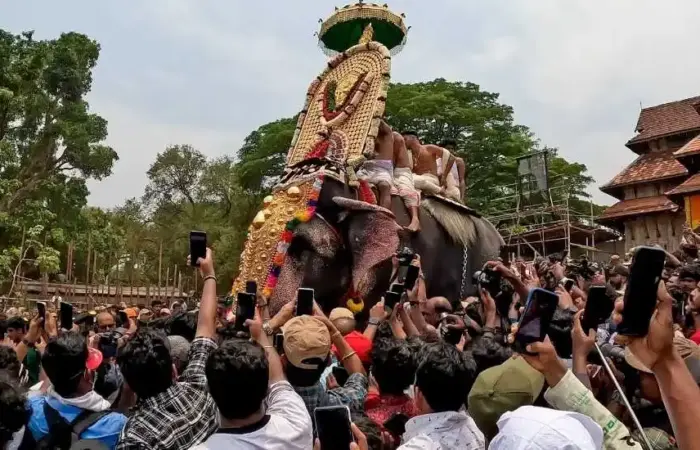 Festival of Festivals