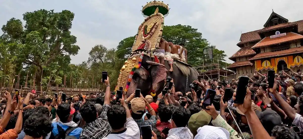 Festival of Festivals