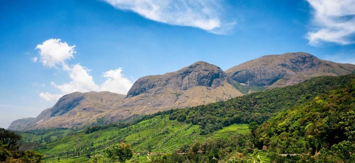 Western Ghats Munnar