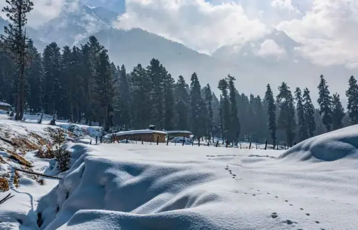 Gulmarg Winter Festival of Kashmir
