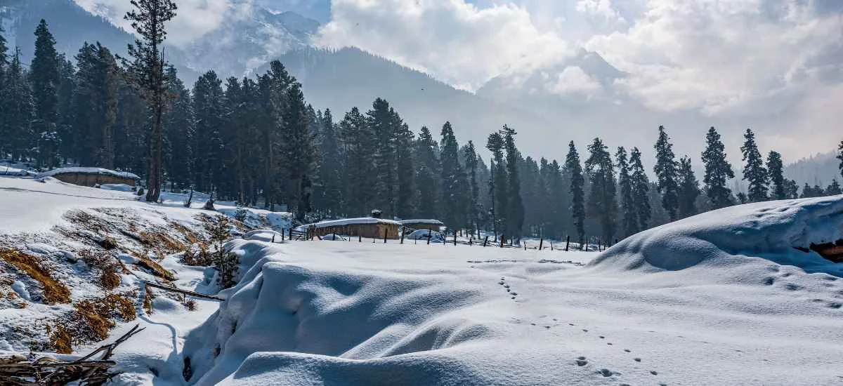 Gulmarg Winter Festival of Kashmir