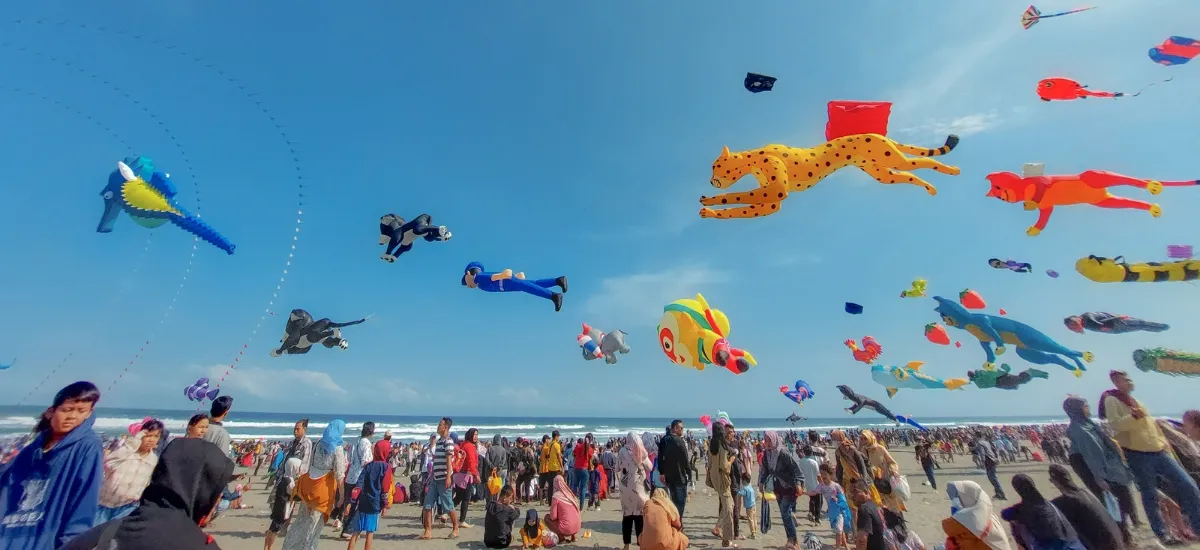 International Kite Festival