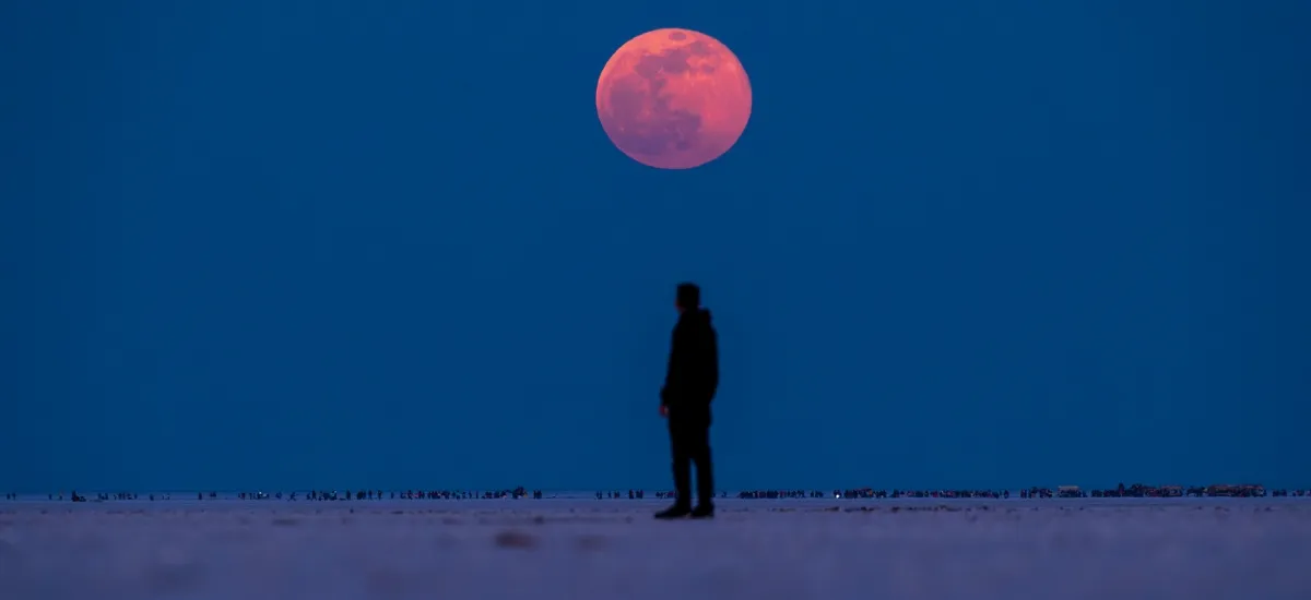 Run of kutch full moon