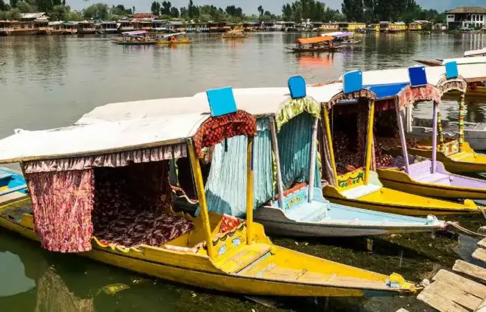 Kashmir Dal Lake