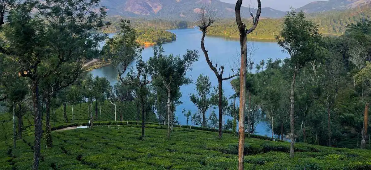 Munnar Hill Station