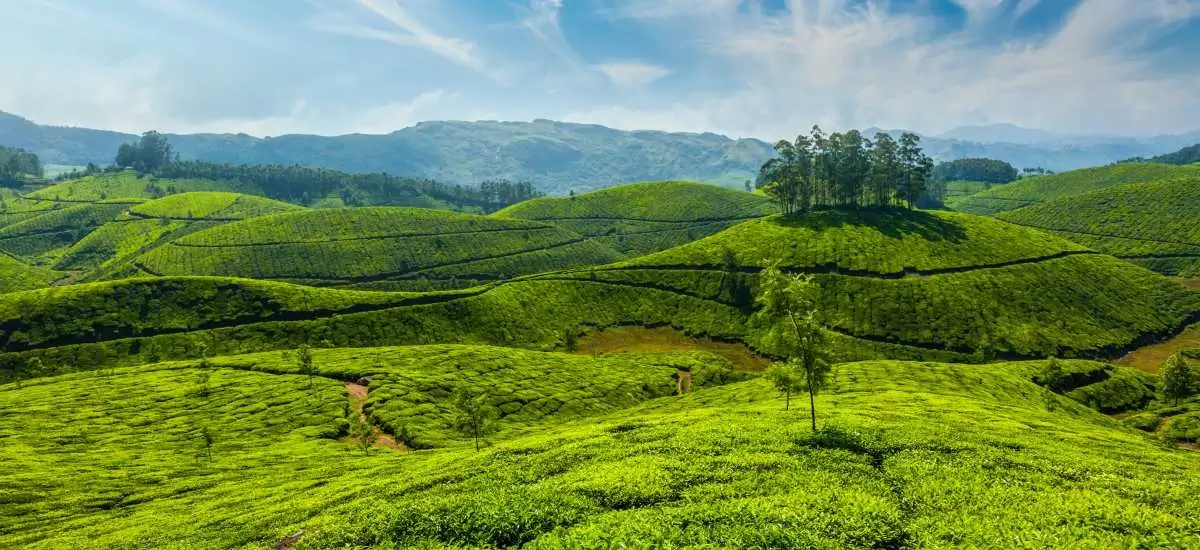 munnar-kerala