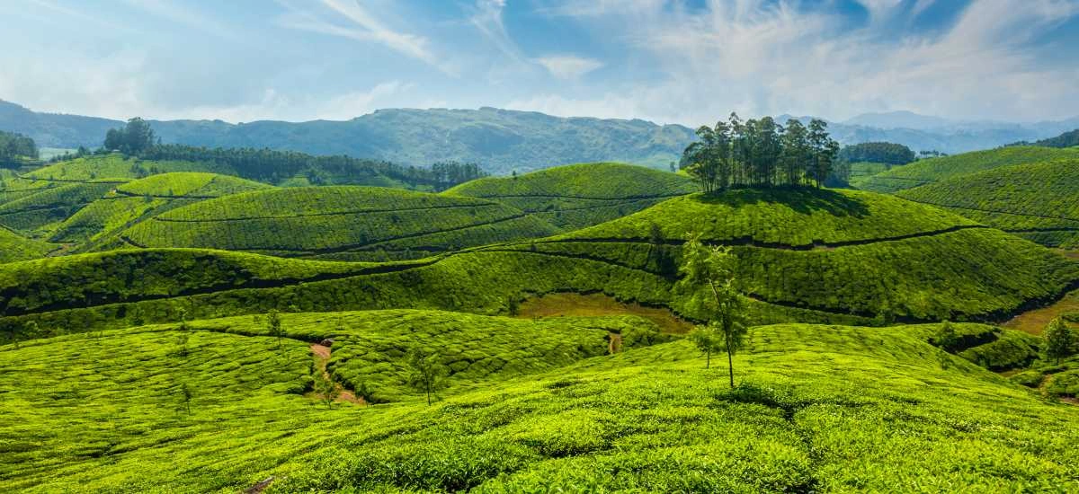 munnar-kerala
