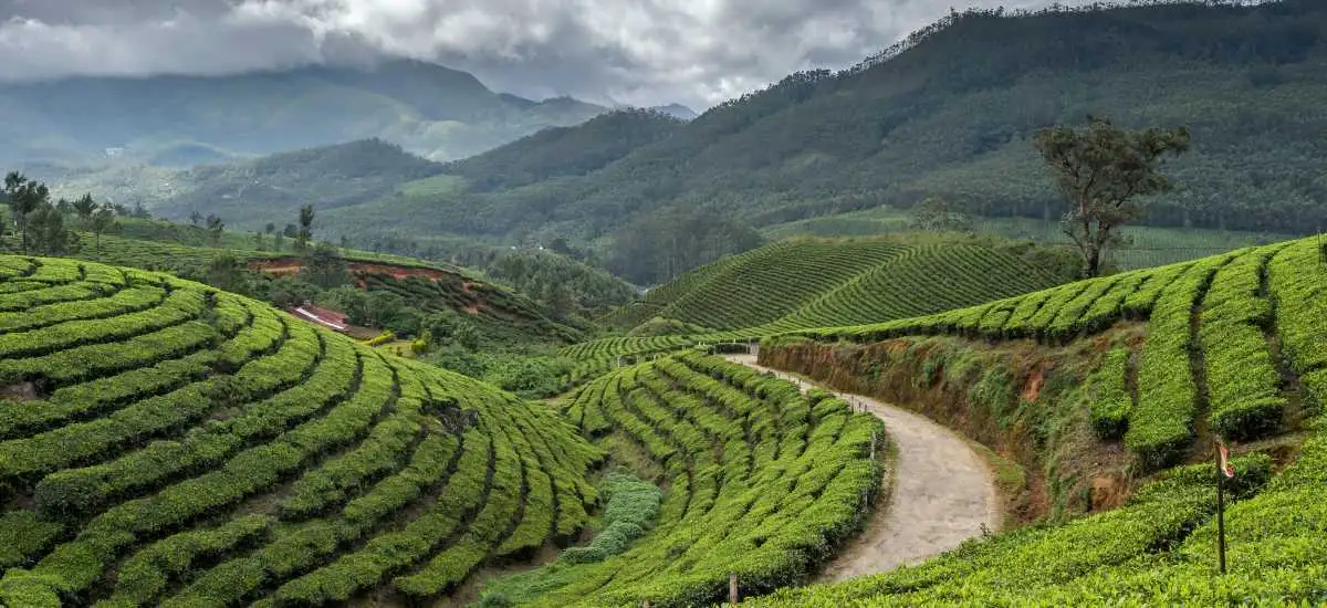 Munnar