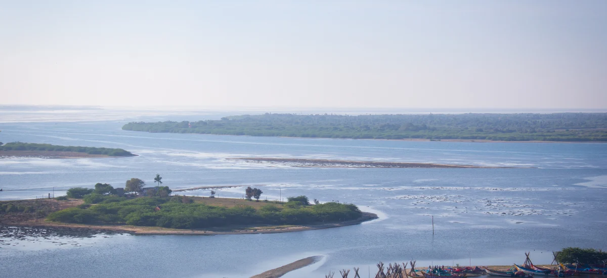 Pulicat Lake near Chennai with flamingos, calm water and natural wetland scenery